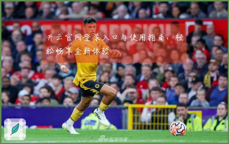 开云官网登录入口与使用指南，轻松畅享全新体验